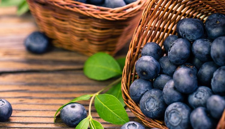 Antioxidantien und freie Radikale